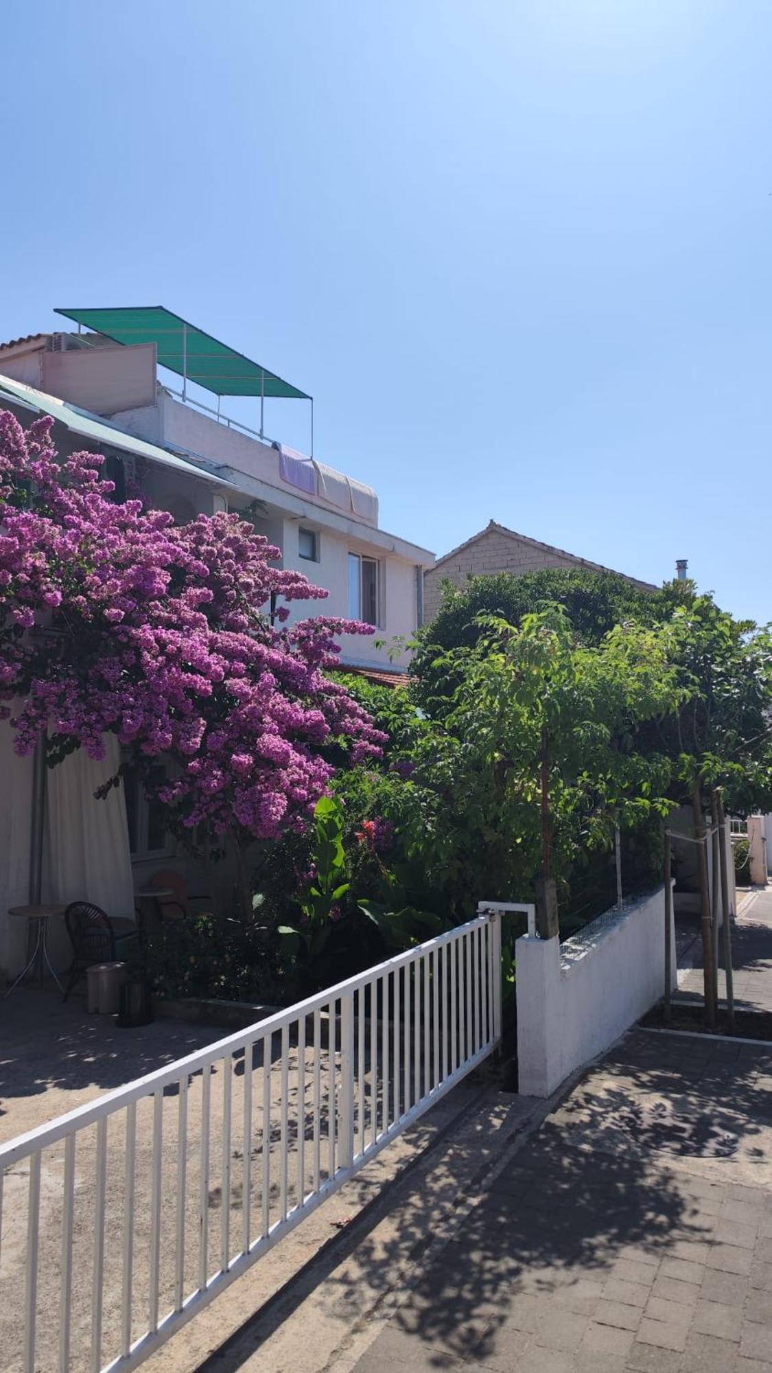 Apartments Suri فوديس المظهر الخارجي الصورة